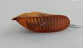 Поворот Ford Focus 1 1998-2004 - 55105184