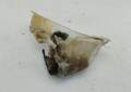 Бачок омывателя Opel Zafira A 1999-2005 - 55110329
