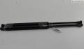 Амортизатор крышки багажника Renault Scenic 1 1996-2002 - 55113294