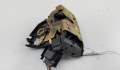 Замок двери Ford Focus 1 1998-2004 - 55129744 Замок двери Ford Focus 1 1998-2004 - 55129744