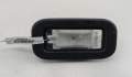 Плафон салона Renault Espace 4 2002-2025 - 55131988