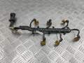 Электропроводка Opel Omega B 1994-2003 - 55143379