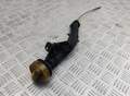 Щуп масляный Renault Espace 4 2002-2025 - 55165280