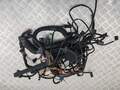 Электропроводка BMW X5 E53 2000-2007 - 55165441