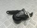 Натяжитель ремня Audi A4 (B7) 2004-2009 - 55165849
