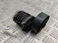 Натяжитель ремня Volkswagen Passat 6 2005-2010 - 55168431