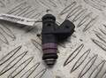Форсунка топливная Renault Scenic 2 2003-2009 - 55169018