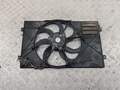 Вентилятор радиатора Volkswagen Passat 6 2005-2010 - 55177294