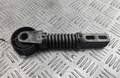 Натяжитель ремня Renault Scenic 1 1996-2002 - 55179831