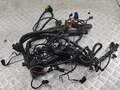 Электропроводка BMW 3 E46 1998-2005 - 55208217