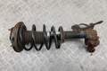 Амортизатор подвески Nissan Primera P12 2002-2007 - 55209624