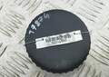 Ручка прочаяя Ford Focus 1 1998-2004 - 55211633