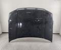 Капот Ford Maverick 2 2000-2007 - 55211648