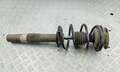 Амортизатор подвески BMW 5 E60 2003-2010 - 55215088