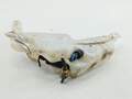 Бачок омывателя Opel Astra G 1998-2005 - 55219000