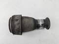Пневмоподушка BMW 5 E60 2003-2010 - 55221911