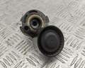 Натяжитель ремня Renault Megane 2 2002-2009 - 55241767