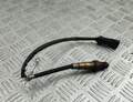 Лямбда зонд Renault Scenic 2 2003-2009 - 55242293
