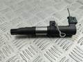 Катушка зажигания Renault Scenic 2 2003-2009 - 55242297