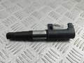 Катушка зажигания Renault Scenic 1 1996-2002 - 55245348