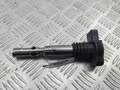 Катушка зажигания Volkswagen Passat 5 2000-2005 - 55245967