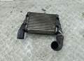 Радиатор интеркулера Volkswagen Passat 5 1996-2000 - 55250414