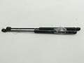 Амортизатор крышки багажника Fiat Stilo 2001-2007 - 55250625