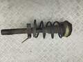 Амортизатор подвески Renault Scenic 2 2003-2009 - 55265529