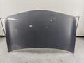 Капот Renault Megane 2 2002-2009 - 55265732