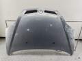 Капот Renault Scenic 1 1996-2002 - 55265993