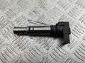 Катушка зажигания Volkswagen Passat 6 2005-2010 - 55268223