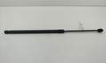 Амортизатор крышки багажника Opel Vectra C 2002-2008 - 55274135