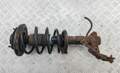Амортизатор подвески Nissan Primera P12 2002-2008 - 55275927