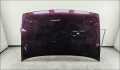 Капот Citroen Xantia 1 1993-1998 - 55287753