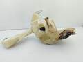 Бачок омывателя Volkswagen Passat 5 2000-2005 - 55289401