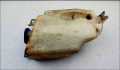 Бачок омывателя Volkswagen Golf 3 1991-2000 - 55290046