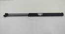 Амортизатор крышки багажника Opel Vectra C 2002-2008 - 55291730
