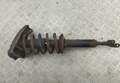 Амортизатор подвески Volkswagen Passat 5 2000-2005 - 55300118