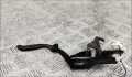 Ручка открывания капота BMW 3 E46 1998-2006 - 55300690
