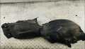 Защита арок (подкрылок) Renault Scenic 1 1996-2002 - 55300940