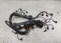 Электропроводка BMW 7 E65 2001-2008 - 55304722
