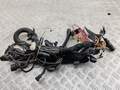 Электропроводка BMW 5 E39 1995-2003 - 55304805