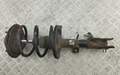 Амортизатор подвески Nissan Murano Z50 2002-2008 - 55310617