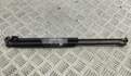 Амортизатор крышки багажника Renault Scenic 1 1996-2002 - 55322229