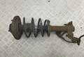 Амортизатор подвески Nissan Primera P12 2002-2008 - 55322643