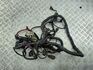 Электропроводка Opel Astra H 2004-2010 - 55341766