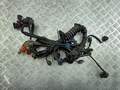 Электропроводка Audi A6 (C5) 1997-2005 - 55341793