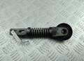Натяжитель ремня Renault Scenic 1 1996-2002 - 55341920