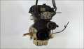 Двигатель Ford Fusion 2002-2012 - 55343710