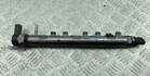 Рампа (рейка) топливная BMW 1 E87 2004-2011 - 55353849